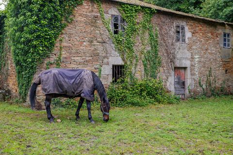 Landejendom i Cospeito, Lugo, Cospeito - € 240.000 | Ref: 1172 - foto 22