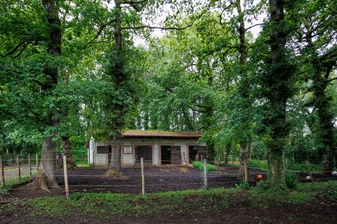 Landejendom i Cospeito, Lugo, Cospeito - € 240.000 | Ref: 1172 - foto 23