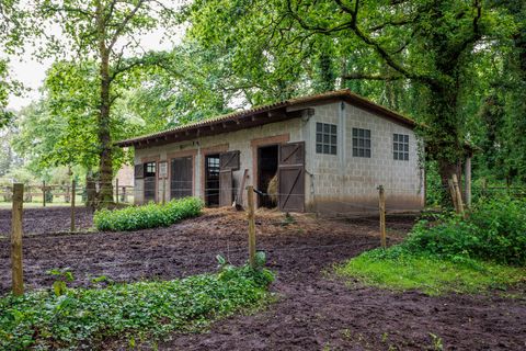 Landejendom i Cospeito, Lugo, Cospeito - € 240.000 | Ref: 1172 - foto 24