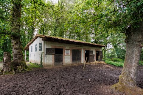 Landejendom i Cospeito, Lugo, Cospeito - € 240.000 | Ref: 1172 - foto 26