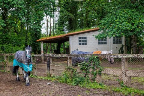 Landejendom i Cospeito, Lugo, Cospeito - € 240.000 | Ref: 1172 - foto 27