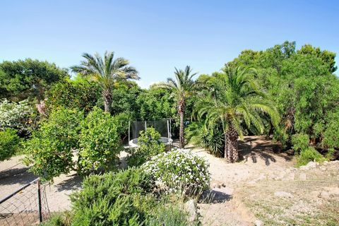 Byhus i Santa Ponsa, Mallorca, Santa Ponsa - € 1.995.000 | Ref: SAE 2031 - foto 28