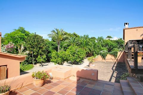 Byhus i Santa Ponsa, Mallorca, Santa Ponsa - € 1.995.000 | Ref: SAE 2031 - foto 32