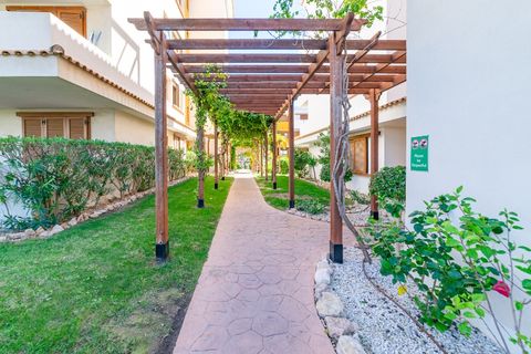 Apartamento en Punta Prima, Alicante, Punta Prima - € 260.000 | Ref: CLDE-19331 - photo 47