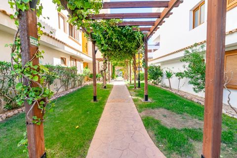 Apartamento en Punta Prima, Alicante, Punta Prima - € 260.000 | Ref: CLDE-19331 - photo 49