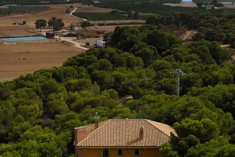 Villa a Ciudad Quesada, Alicante, Ciudad Quesada - € 995.000 | Ref: CLDMLS-81679 - foto 22