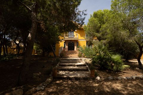 Villa a Ciudad Quesada, Alicante, Ciudad Quesada - € 995.000 | Ref: CLDMLS-81679 - foto 24