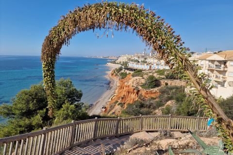 Leilighet i Cabo Roig, Alicante, Cabo Roig - € 184 995 | Ref: CLDMLS-59724 - foto 25