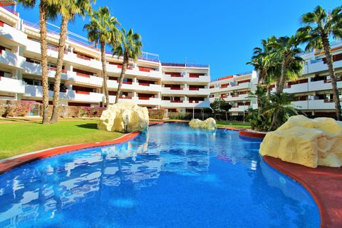 Leilighet i Playa Flamenca, Alicante, Playa Flamenca - € 225 000 | Ref: CLDMLS-67344 - foto 28
