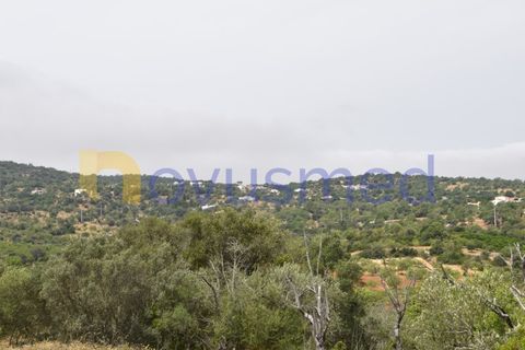 Terra a Paderne, Faro, Paderne - € 38.000 | Ref: TE-14 (PR-079) - foto 2