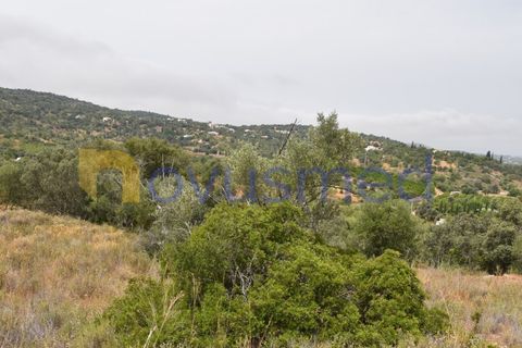 Terra a Paderne, Faro, Paderne - € 38.000 | Ref: TE-14 (PR-079) - foto 4
