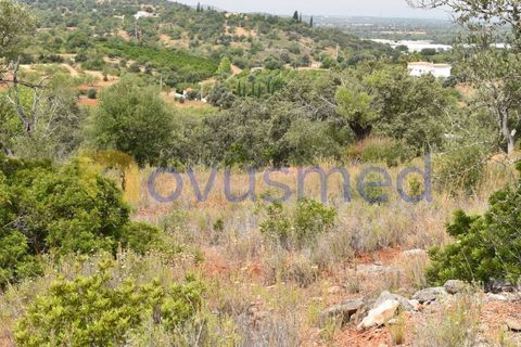 Terra a Paderne, Faro, Paderne - € 38.000 | Ref: TE-14 (PR-079) - foto 6