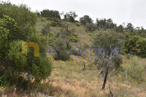 Terra a Paderne, Faro, Paderne - € 38.000 | Ref: TE-14 (PR-079) - foto 8