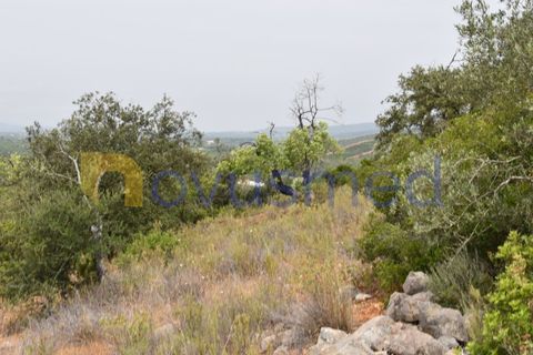 Terra a Paderne, Faro, Paderne - € 38.000 | Ref: TE-14 (PR-079) - foto 9