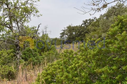 Terra a Paderne, Faro, Paderne - € 38.000 | Ref: TE-14 (PR-079) - foto 10