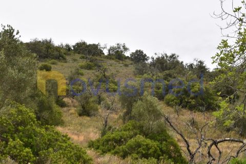 Terra a Paderne, Faro, Paderne - € 38.000 | Ref: TE-14 (PR-079) - foto 11