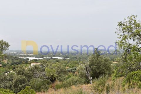 Terra a Paderne, Faro, Paderne - € 38.000 | Ref: TE-14 (PR-079) - foto 12