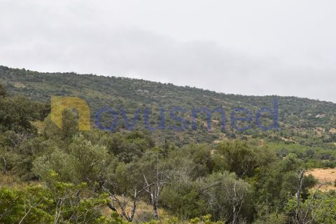 Terra a Paderne, Faro, Paderne - € 38.000 | Ref: TE-14 (PR-079) - foto 13