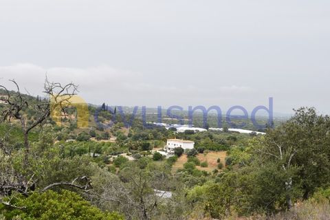 Terra a Paderne, Faro, Paderne - € 38.000 | Ref: TE-14 (PR-079) - foto 14