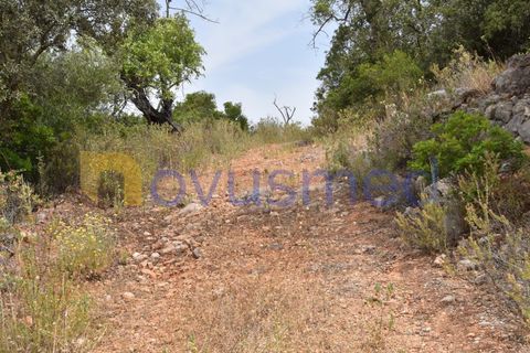 Terra a Paderne, Faro, Paderne - € 38.000 | Ref: TE-14 (PR-079) - foto 15