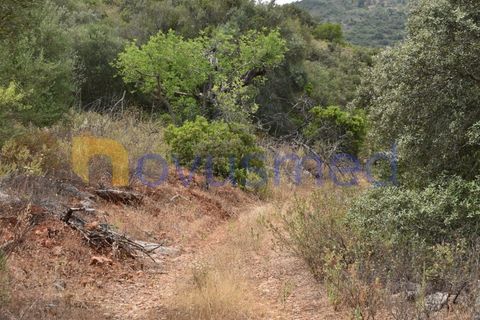Terra a Paderne, Faro, Paderne - € 38.000 | Ref: TE-14 (PR-079) - foto 16