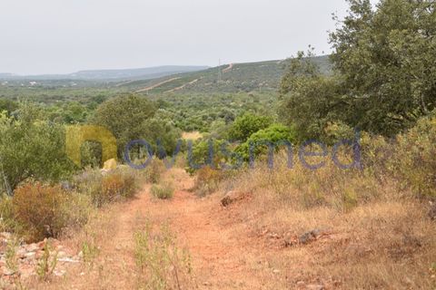 Terra a Paderne, Faro, Paderne - € 38.000 | Ref: TE-14 (PR-079) - foto 17