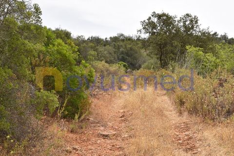 Terra a Paderne, Faro, Paderne - € 38.000 | Ref: TE-14 (PR-079) - foto 18