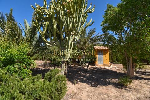 Villa i Elche, Alicante, Elche - € 680.000 | Ref: JD283 - foto 47