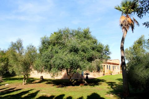 Landejendom i Canyamel, Mallorca, Canyamel - € 2.200.000 | Ref: 5463804 - LF1024 - foto 9