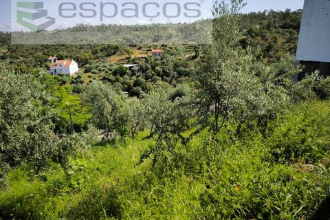 Villa a Castelo Branco, Castelo Branco, Castelo Branco - € 100.000 | Ref: 5459/EG - foto 15