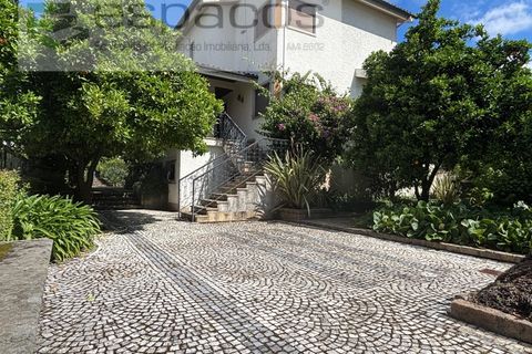 Villa a Castelo Branco, Castelo Branco, Castelo Branco - € 825.000 | Ref: 5549/AC-FA - foto 8