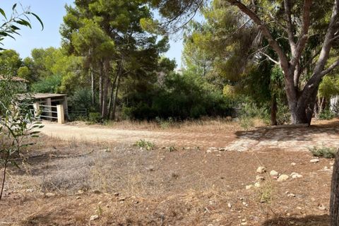 Terra a Moraira, Alicante, Moraira - € 395.000 | Ref: P21004* - foto 4