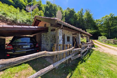 Villa i Aller, Asturias, Aller - € 86.000 | Ref: QPE00413/10606 - foto 32