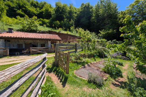 Villa i Aller, Asturias, Aller - € 86.000 | Ref: QPE00413/10606 - foto 33