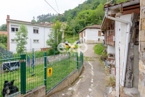 Villa a Lena, Asturias, Lena - € 105.000 | Ref: EXP14552/8930 - foto 38