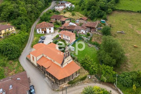 Villa a Lena, Asturias, Lena - € 105.000 | Ref: EXP14552/8930 - foto 44