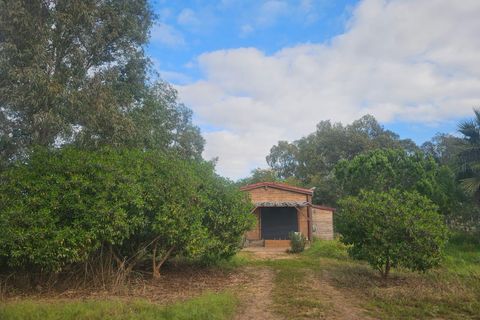 Landejendom i Amposta, Tarragona, Amposta - € 125.000 | Ref: EXP14562/8930 - foto 24