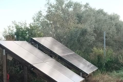 Landejendom i Amposta, Tarragona, Amposta - € 125.000 | Ref: EXP14562/8930 - foto 30