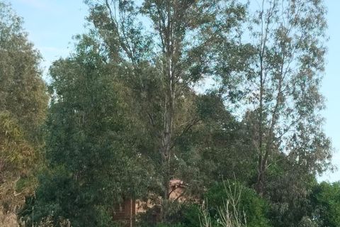 Landejendom i Amposta, Tarragona, Amposta - € 125.000 | Ref: EXP14562/8930 - foto 31