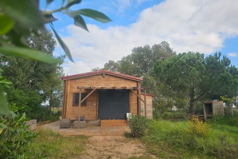Landejendom i Amposta, Tarragona, Amposta - € 125.000 | Ref: EXP14562/8930 - foto 36