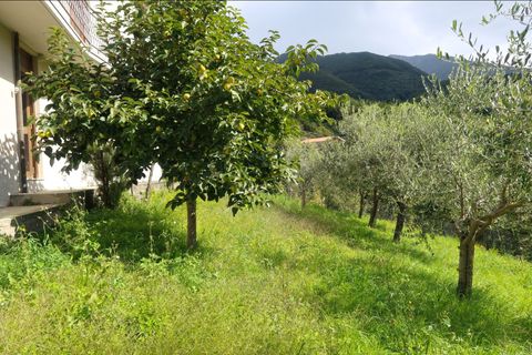 Villa i Bagnone, Massa and Carrara, Bagnone - € 290.000 | Ref: 391B - foto 6