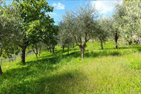 Villa i Bagnone, Massa and Carrara, Bagnone - € 290.000 | Ref: 391B - foto 7