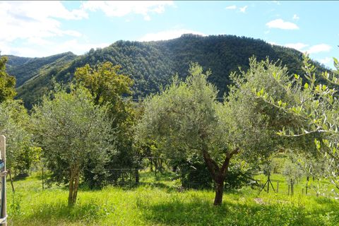 Villa i Bagnone, Massa and Carrara, Bagnone - € 290.000 | Ref: 391B - foto 8