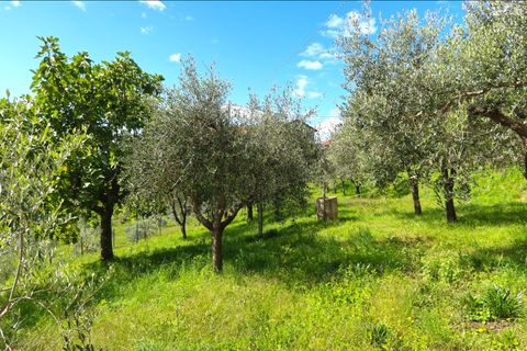 Villa i Bagnone, Massa and Carrara, Bagnone - € 290.000 | Ref: 391B - foto 9