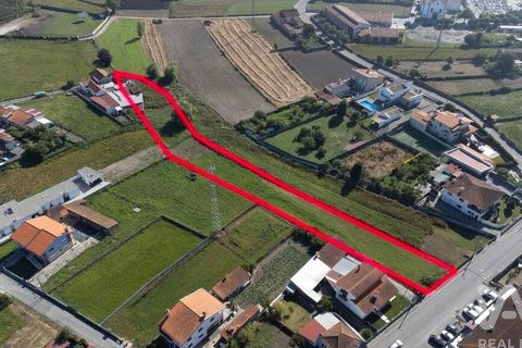 Helårsgrund i Estarreja, Aveiro, Estarreja - € 60.000 | Ref: 929332 - foto 2