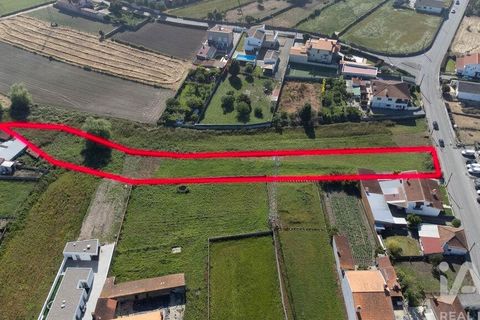 Helårsgrund i Estarreja, Aveiro, Estarreja - € 60.000 | Ref: 929332 - foto 6
