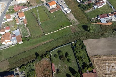 Helårsgrund i Estarreja, Aveiro, Estarreja - € 60.000 | Ref: 929332 - foto 7