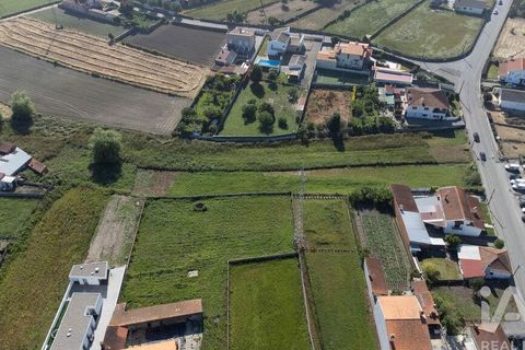 Helårsgrund i Estarreja, Aveiro, Estarreja - € 60.000 | Ref: 929332 - foto 8