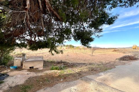 Finca i Monovar, Alicante, Monovar - € 279.995 | Ref: MCO-34562 - foto 20