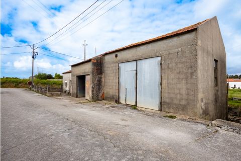 Villa i Lavos, Coimbra, Lavos - € 165.000 | Ref: FFIC 6288 - foto 5